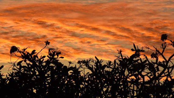 Il Cambiamento in autunno, dalla natura allo stato d’animo. Sappiamo affrontarlo?