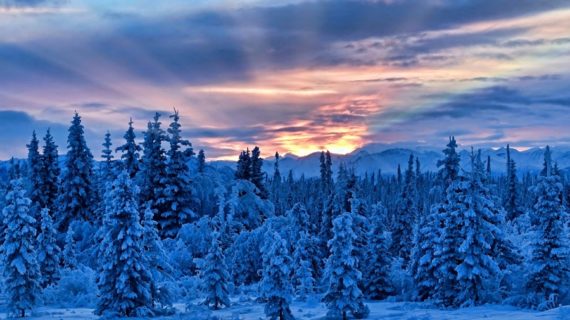 Solstizio d’inverno, il passaggio che segna una nuova rinascita