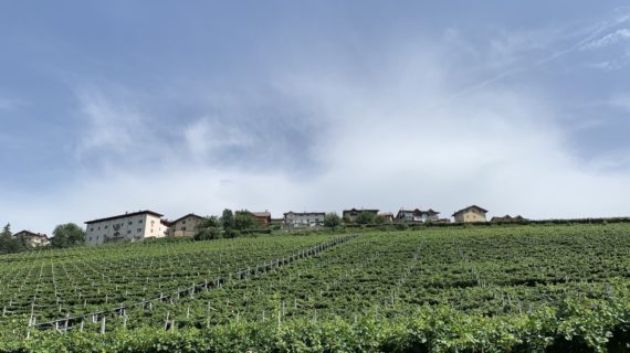 Trento e dintorni. Idee ed itinerari per i lunghi weekend primaverili tra meleti e vigneti