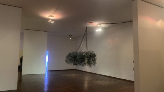 Out of Time. Ripartire dalla natura alla Biennale Donna, per un’estetica dell’ecologia e dei paesaggi