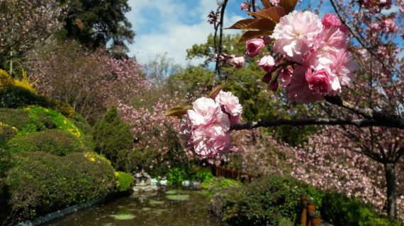Era Di Maggio, appuntamento all’aria aperta dedicato alle famiglie e a tutti gli appassionati di floricoltura
