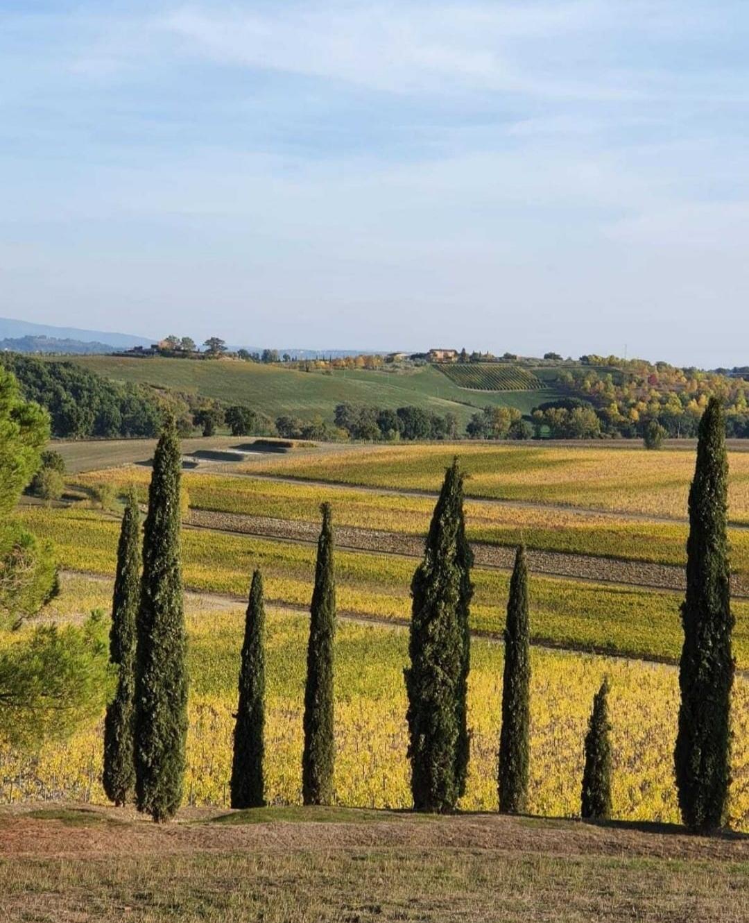 Carpineto Toscana Wine Tour