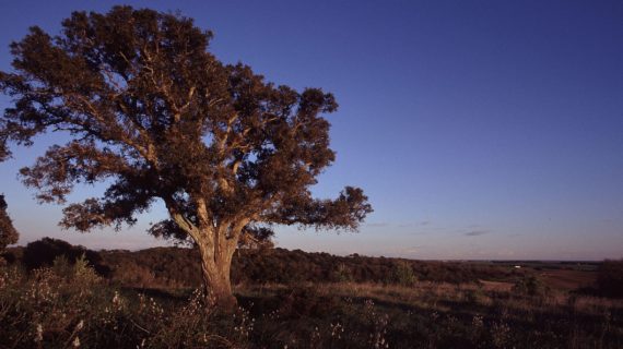 Vacanze eco-sostenibili in Italia? Ecco alcune mete che vi consigliamo