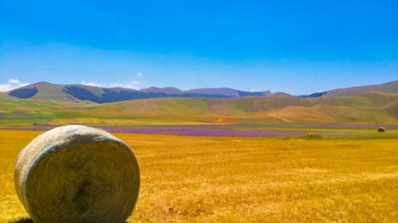 Viaggio in Umbria: alla scoperta di Castelluccio di Norcia e Cascia!