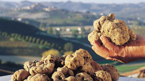 Volterragusto:  il Cibo è Cultura