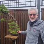 Sentieri bonsai, al cuore dell’Oriente con Sandro Segneri