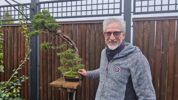 Sentieri bonsai, al cuore dell’Oriente con Sandro Segneri
