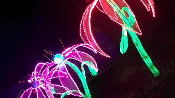 Festival delle Lanterne: la Cina ha scelto l’Italia