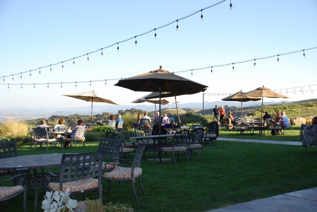 Calcareous vineyards a Paso Robles photo MyWhere