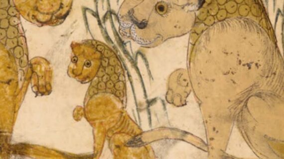 Bestiaria. Animali fantastici, mostruosi e allegorici, di Domitilla Dardi