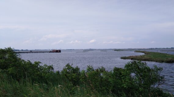 Nelle Valli di Comacchio, fra casoni e lagune, le escursioni sono a velocità naturale