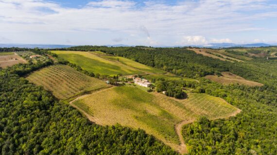 Jazz e Wine Montalcino 2023: arrivano le stelle del jazz internazionale
