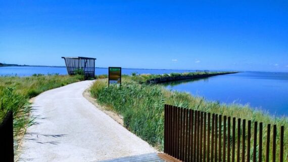 In bicicletta negli argini delle Valli di Comacchio, alla scoperta dell’Argine degli Angeli