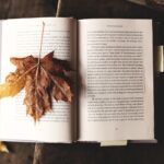 Read a Book Day- 6 settembre