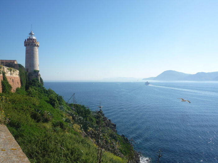 Ecco perché l’Isola d’Elba quest’anno è stata una delle mete più apprezzate Ecco perché l’Isola d’Elba quest’anno è stata una delle mete più apprezzate