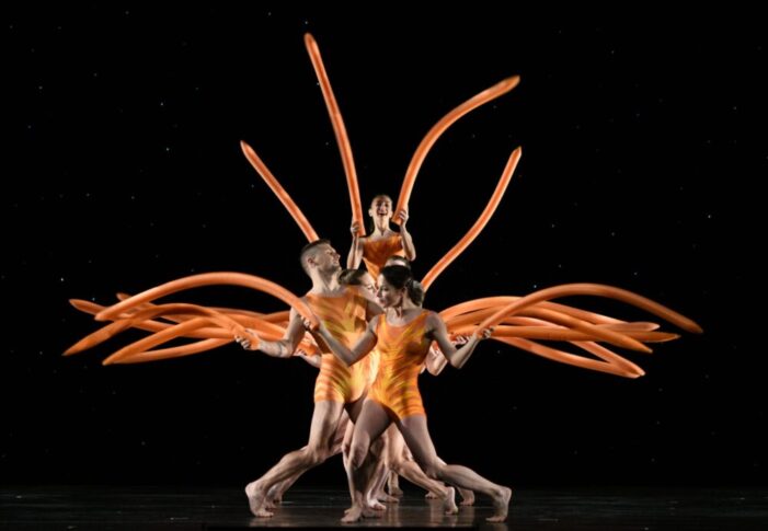 Welcome Back to Momix!