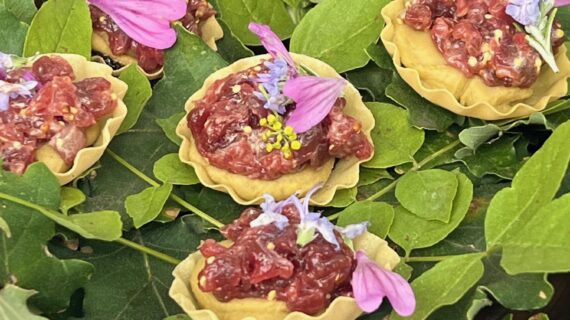 Santa Cecilia e l’esperienza della cucina selvaggia del Borgo