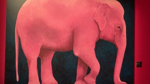 Un weekend di festa tra Animali fantastici per tornare bambini