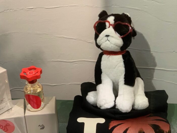 Vetrina con peluche MyWhere Pupazzi di peluche, l’ultimo trend per le vetrine dello shopping