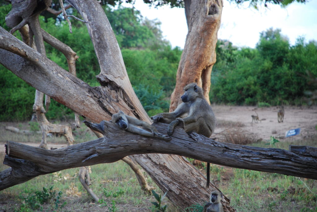 KENYA Il Viaggio Che Ti Manca Foto MyWhere