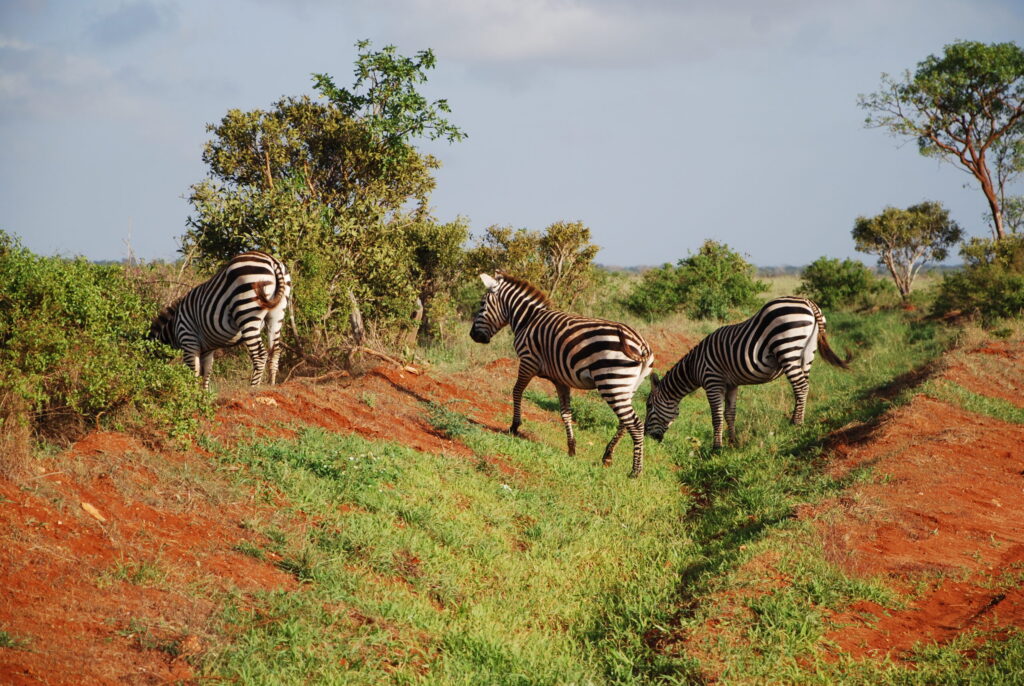 KENYA Il Viaggio Che Ti Manca Foto MyWhere