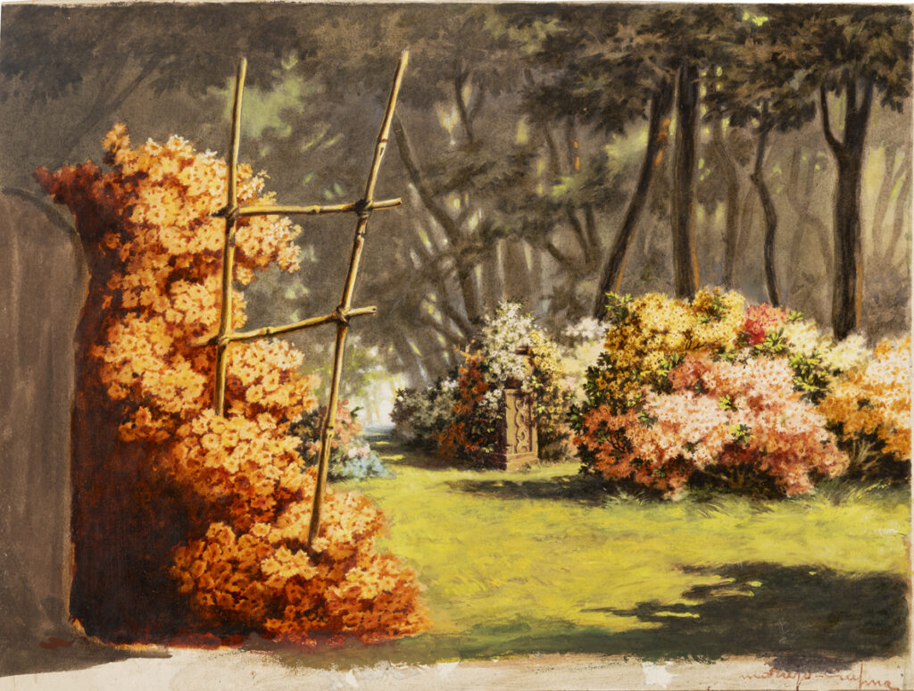 La Rosa di Bagdad