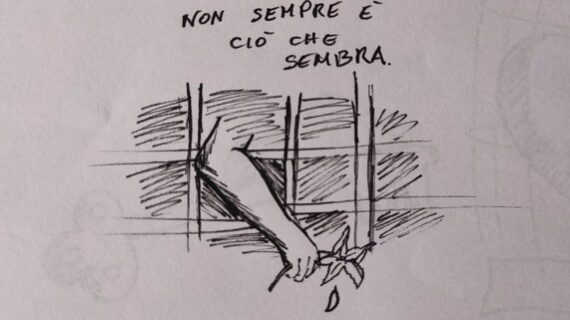 Il disegnatore di Nisida