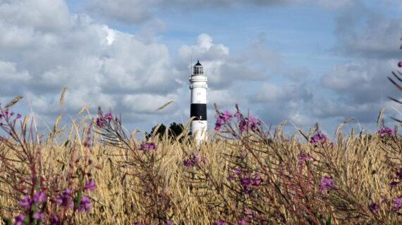 L’isola di Sylt: vacanze al mare in Germania