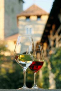 Vivere il Vino a Tirolo 2024 - Foto MyWhere Copyright