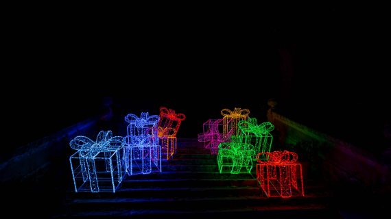 Trame di Luce torna all’Orto botanico con un nuovo percorso immersivo di light art