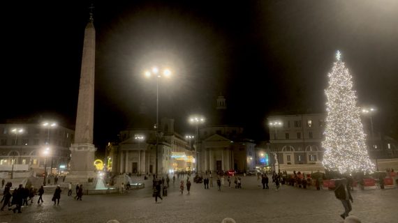 Al via l’accensione a San Pietro dell’albero della discordia  