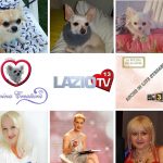 Divina Creatura e Miss Nanette: piccoli amici con la coda, grandi storie