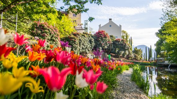 Giardini di Castel Trauttmansdorff, aperti fino al 9 novembre per la stagione 2025
