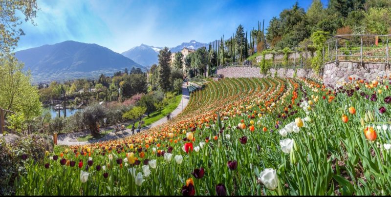 Giardini di Castel Trauttmansdorff - Foto: MyWhere Copyright