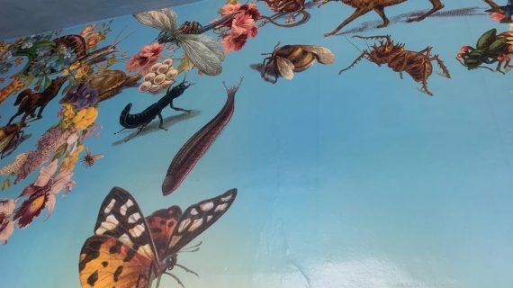 Paradise Lost: Immersione totale tra flora e fauna in una casina di caccia del 600