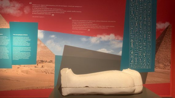 Mostra Riflessi d’Egitto dal collezionismo estense all’egittomania