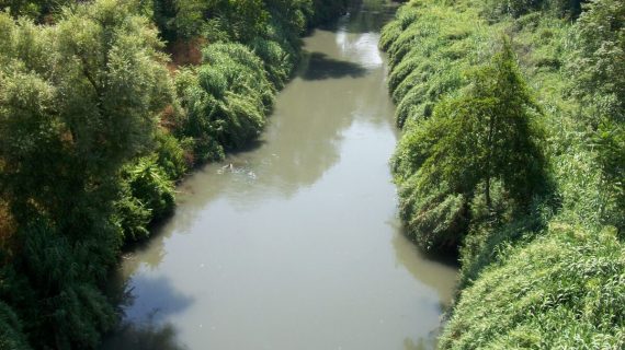 Fuori/Rotta 2025: un Festival che attraversa Roma tra arte, natura e cultura