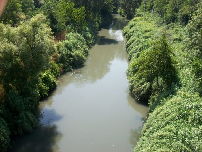 Fuori/Rotta 2025: un Festival che attraversa Roma tra arte, natura e cultura