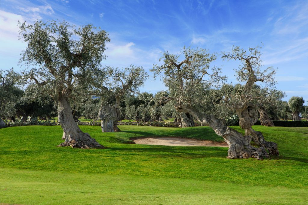 scoprire la puglia