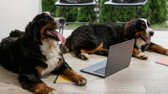 Cani in Ufficio: Perché Oggi è il Momento Giusto per Dire Sì a un Ambiente Pet Friendly