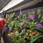 Come valorizzare giardini e terrazzi in estate