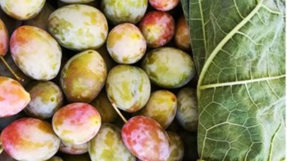 La cena in piazza con la Pruna dei Frati