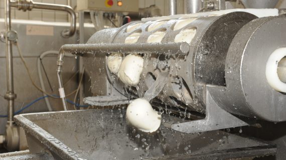 Il vero fiordilatte made in Lazio nasce a Rieti con Fattoria Latte Sano