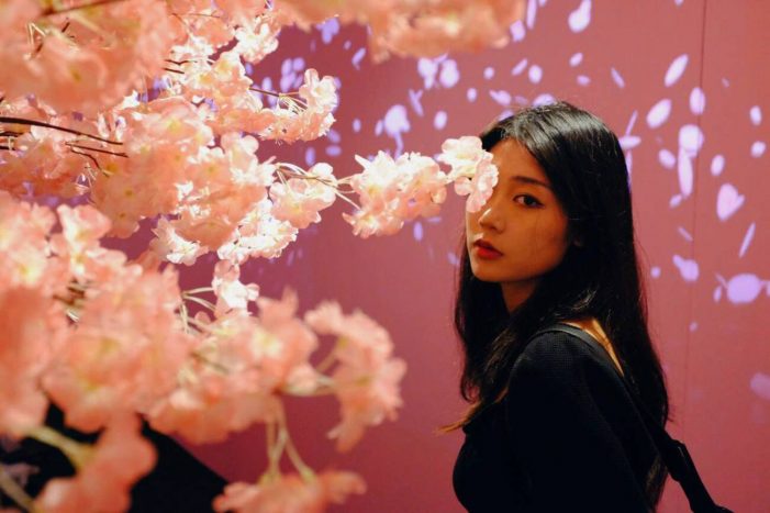 Itadakimasu: la mostra sugli anime e la cultura gastronomica giapponese