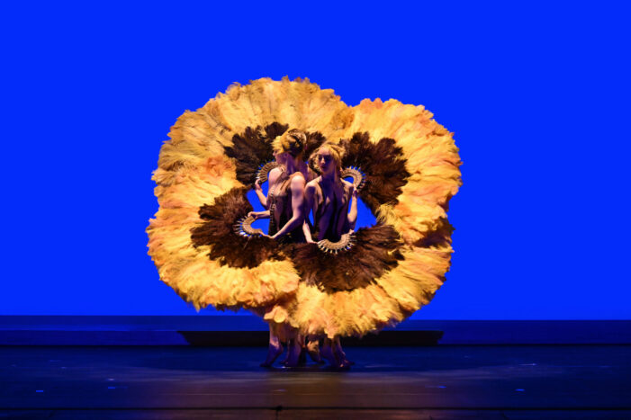Momix con Botanica Season 2 a teatro