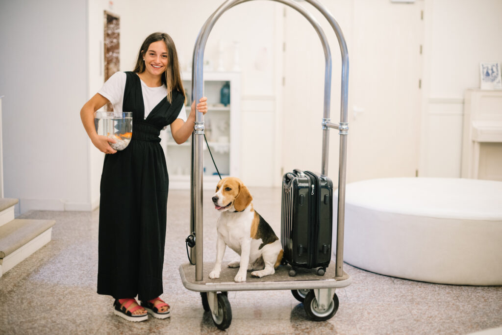 vacanze cane
