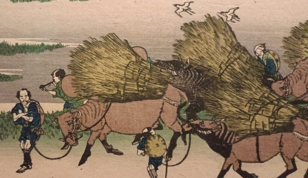 Hokusai. MyWhere