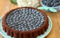 World Chocolate Day 2026: crostata cioccolato e mirtilli gluten free