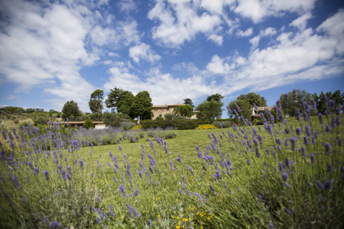 Weekend a Orvieto tra arte, vino e relax: l’esperienza della Tenuta Ponziani