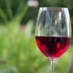 Aspettando Calici di Stelle: Villa Gianna celebra il vino consapevole tra giovani, famiglie e stelle